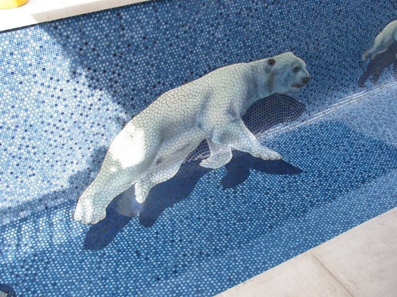 finished in pool, Flowers to Sharks has water photos